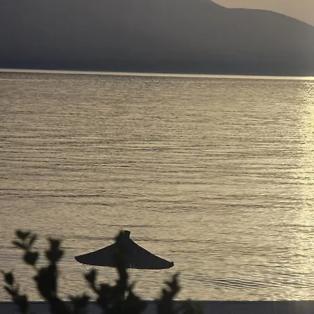 Swiss Rivage Radhimë